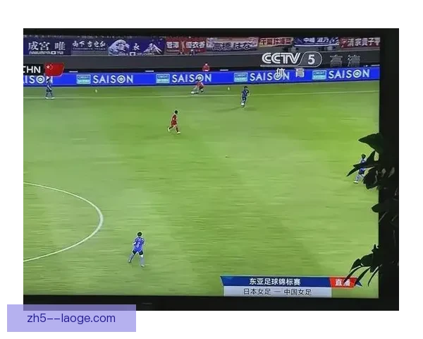 2026世界杯正式发布全新赛事数据实时同步插件提升观赛体验